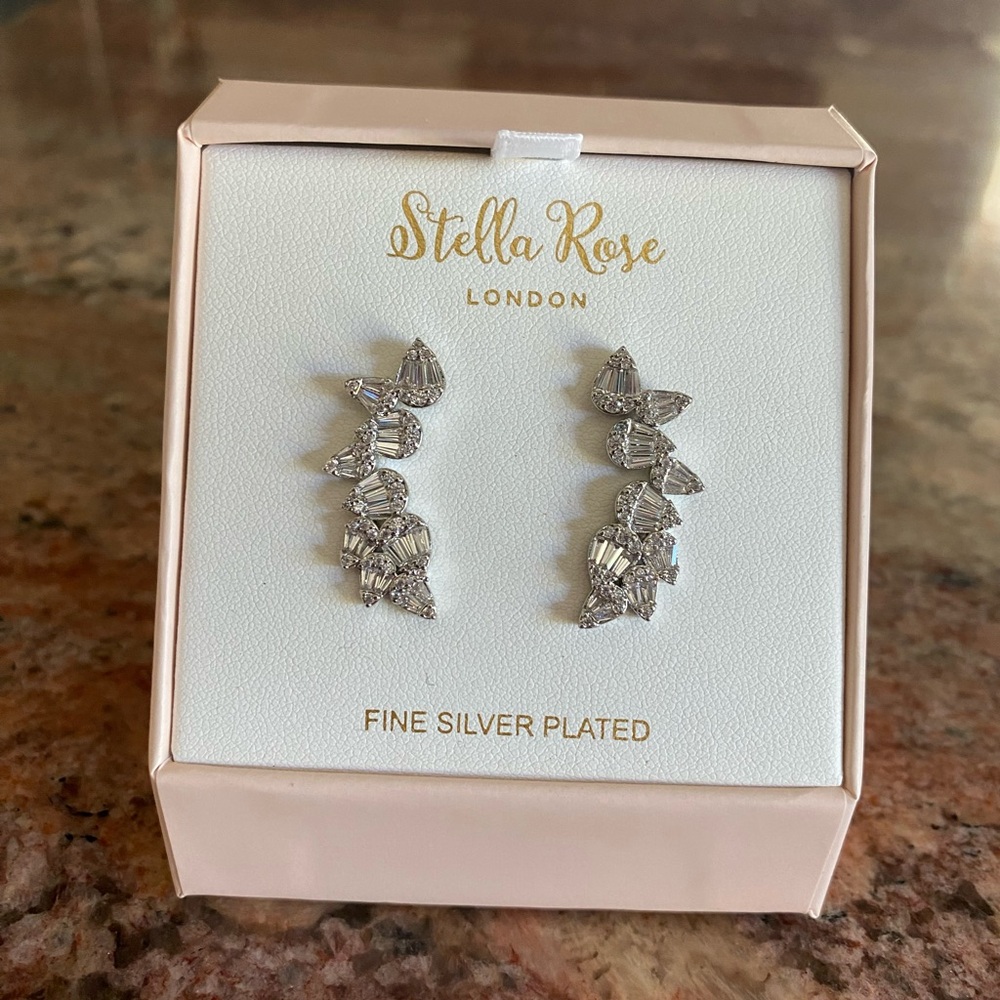 NWT - in box Silver plated tear drop sparkly earrings